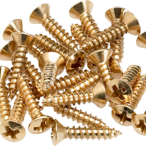 Pickguard-Control Plate Mounting Screws (24), Gold