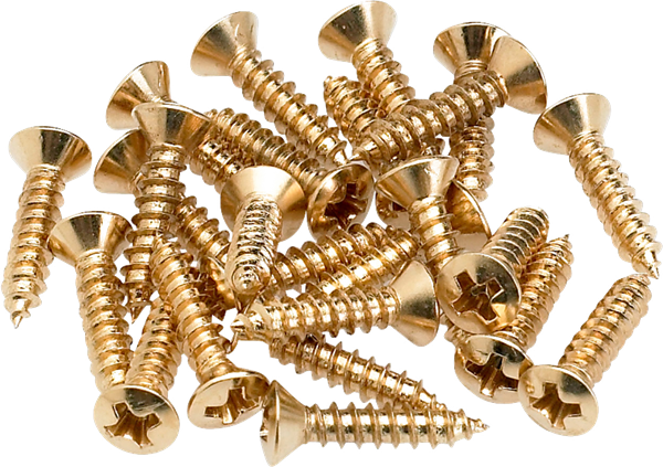 Pickguard-Control Plate Mounting Screws (24), Gold