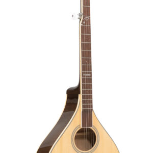 Banjola+ S: Woodbody Banjo with Pickup and Bag