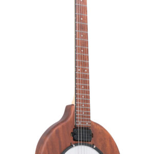 EB-6: Electric Banjitar with Gig Bag