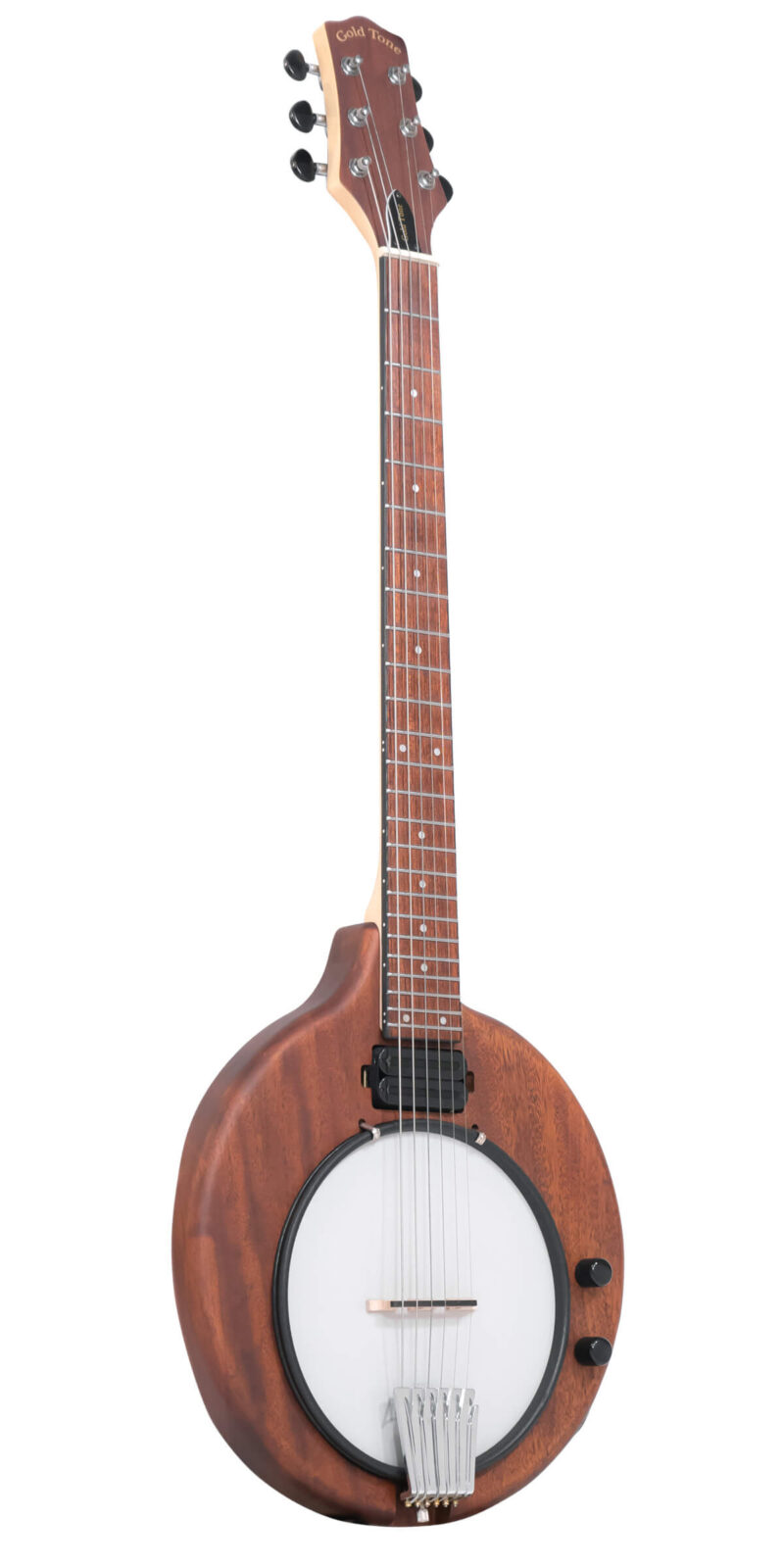 EB-6: Electric Banjitar with Gig Bag