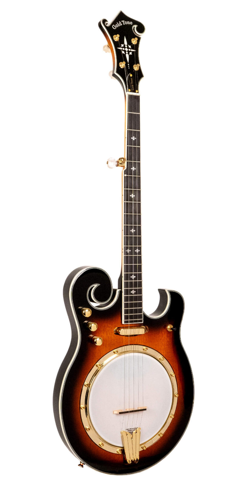 EBM-5: Electric Banjo with Case