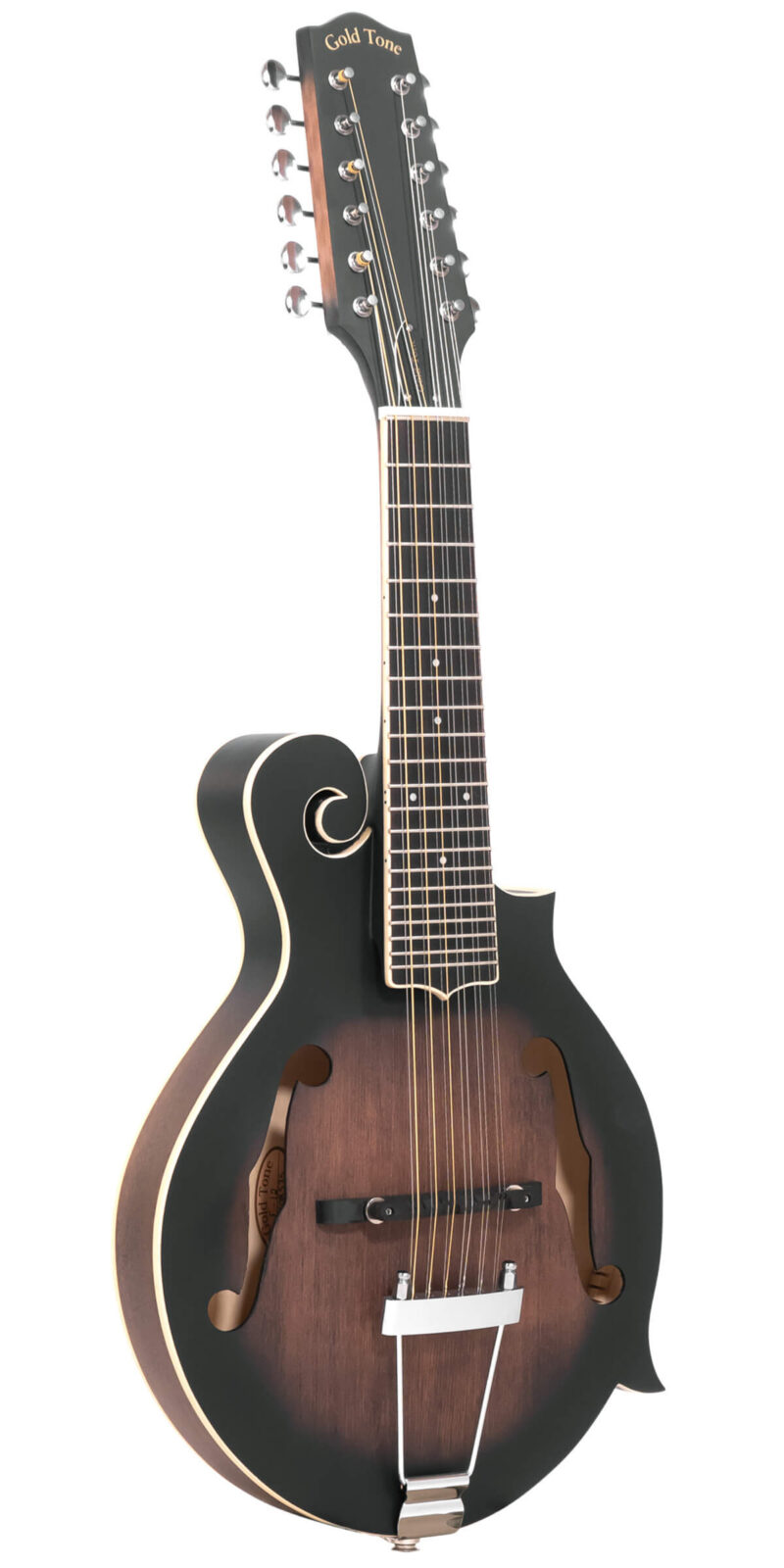F-12: 12-string F-style Mando-Guitar with Pickup and Case