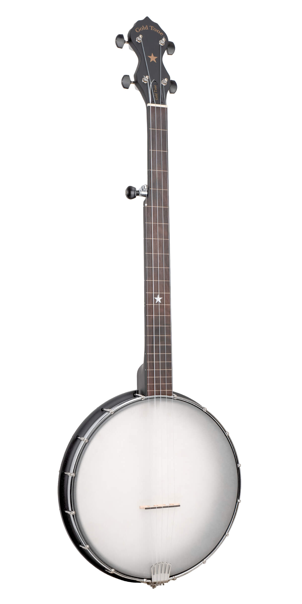 AC-12FL: 12" Fretless Acoustic Composite 5-String Openback Banjo with Gig Bag