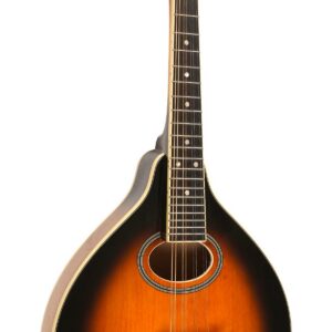 GM-50+: A-Style Mandolin with Pickup and Bag