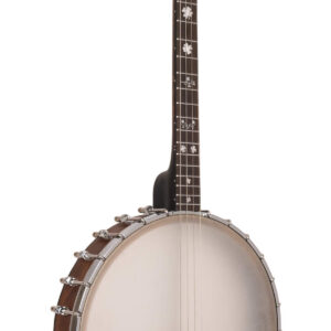 IT-17: Irish Tenor Banjo with 17 Frets and Gig Bag