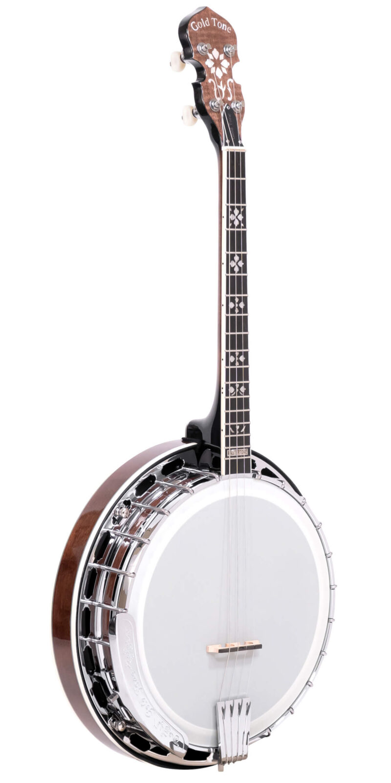 IT-250F: Irish Tenor Banjo with Flange and Case