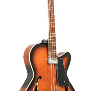 Mandocello with Pickup and Case
