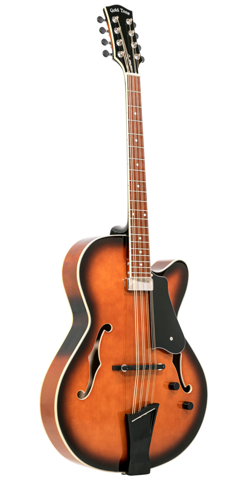 Mandocello/L: Lefty Mandocello with Pickup and Case