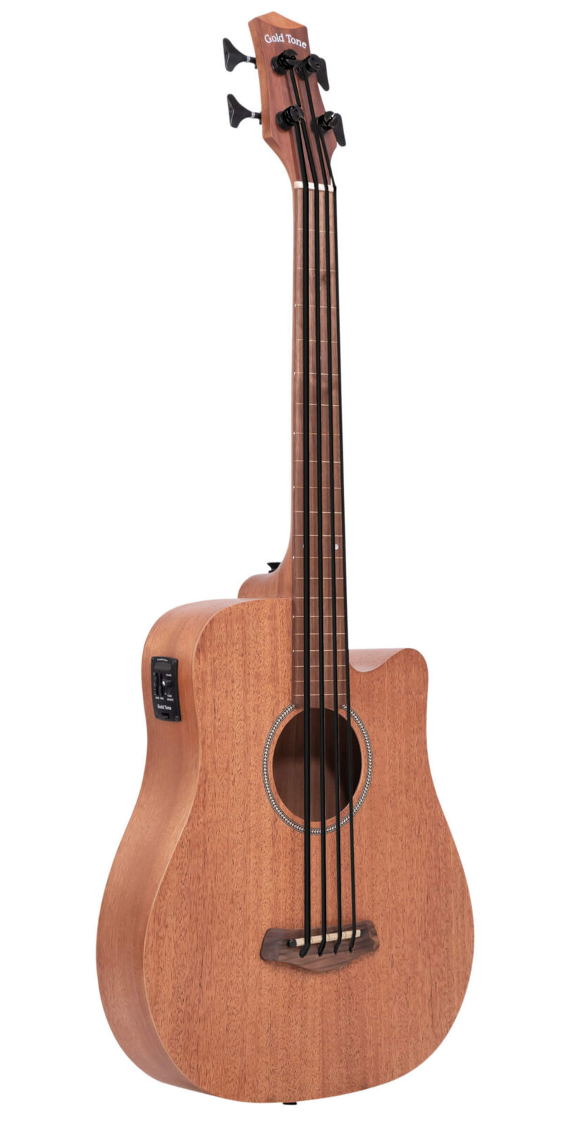 M-Bass25FL 25-Inch Scale Fretless Acoustic-Electric MicroBass with Gig Bag