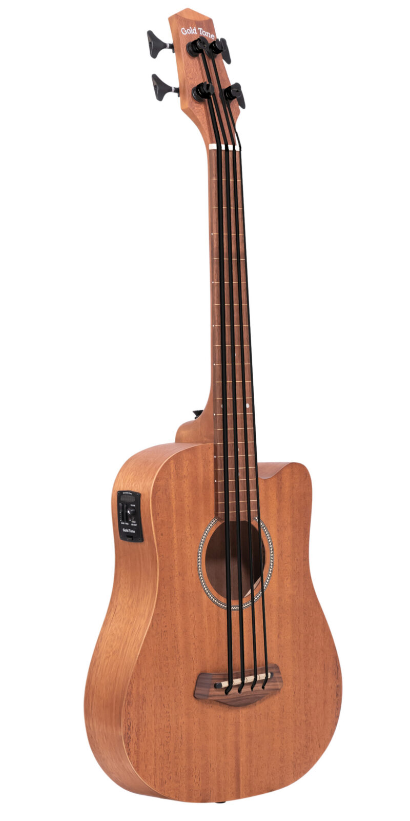 M-BassFL 23-Inch Scale Fretless Acoustic-Electric MicroBass with Gig Bag