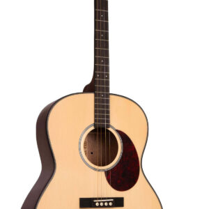 TG-10: Tenor Guitar with Gig Bag