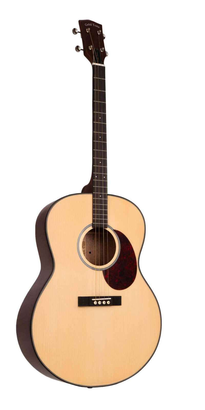 TG-10: Tenor Guitar with Gig Bag