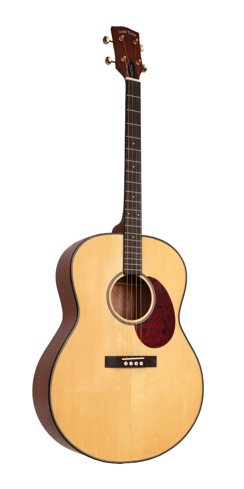 TG-18: Tenor Guitar with Vintage Design and Bag