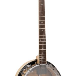 GT-750: Banjitar Deluxe with Case