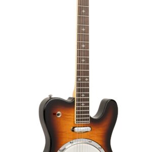 ES-Banjitar: Electric Banjitar with Hard Case