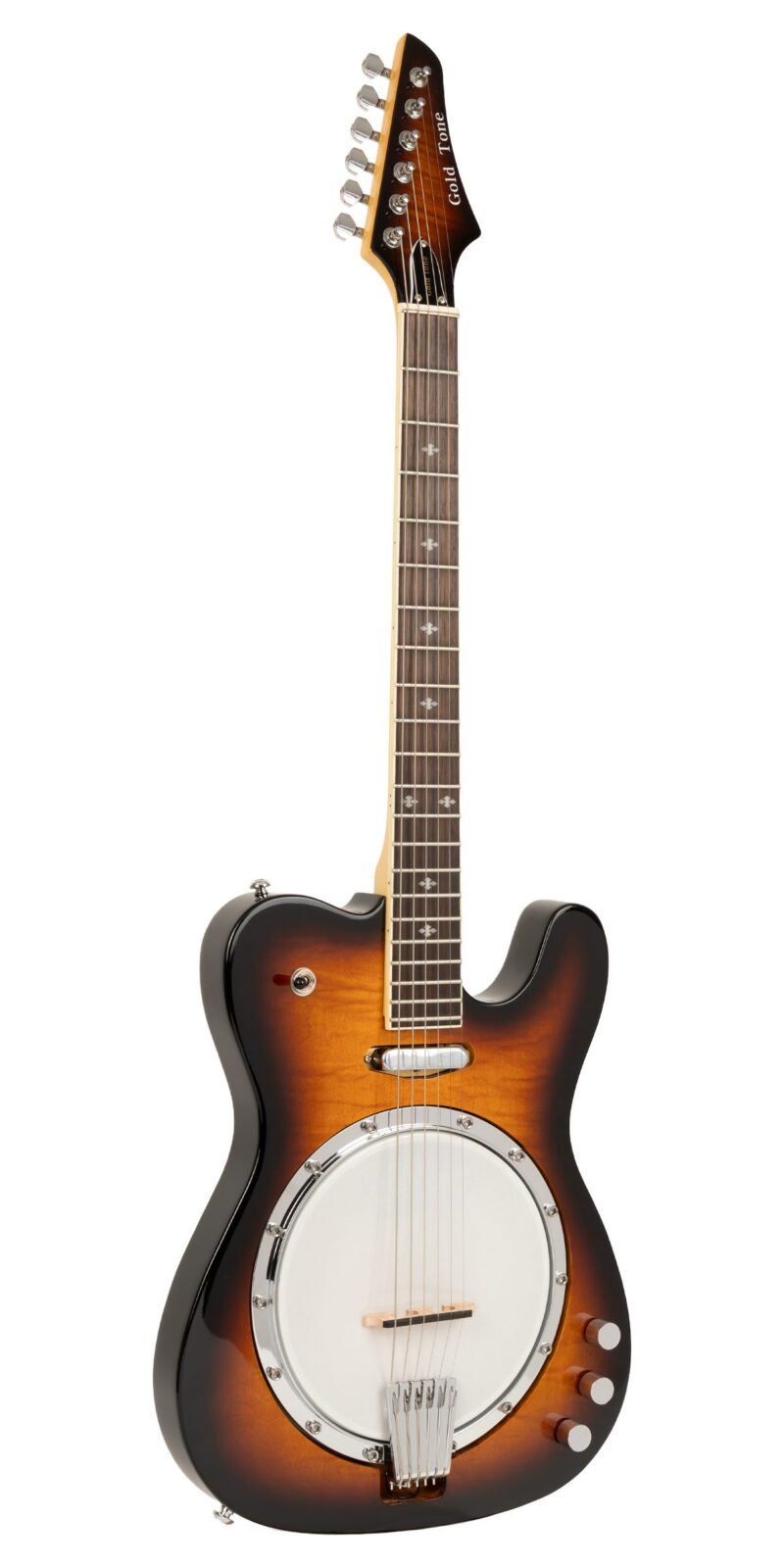 ES-Banjitar: Electric Banjitar with Hard Case