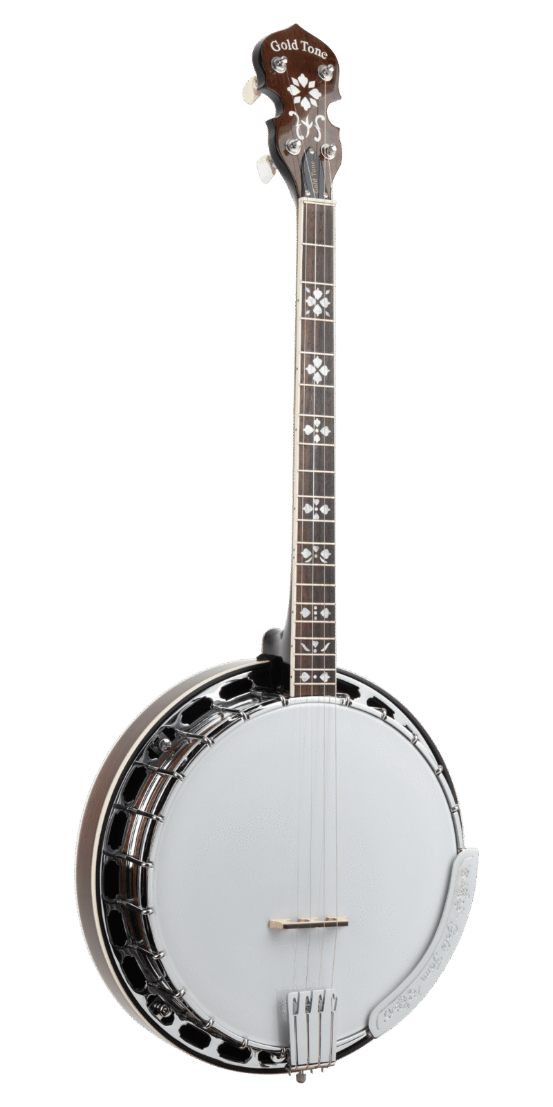 TS-250/L: Tenor Special Banjo with Case
