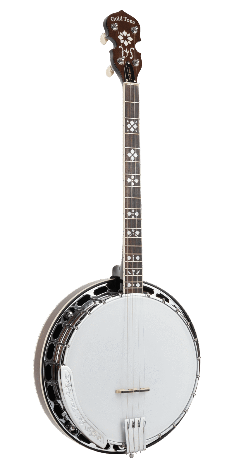 TS-250: Tenor Special Banjo with Case