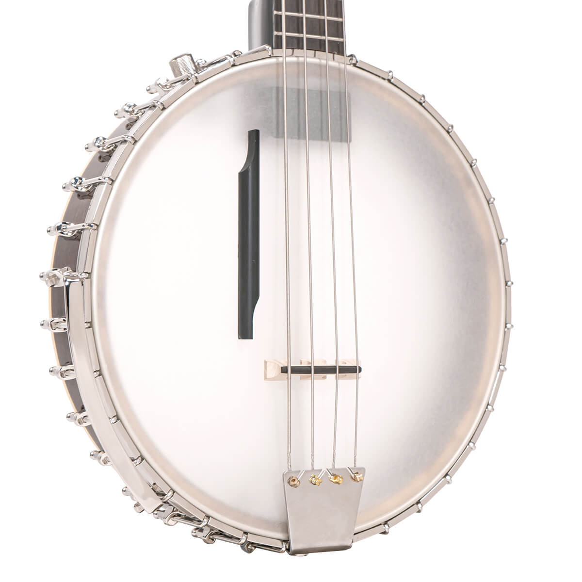 BB-400+: Banjo Bass with Pickup and Case - Image 2
