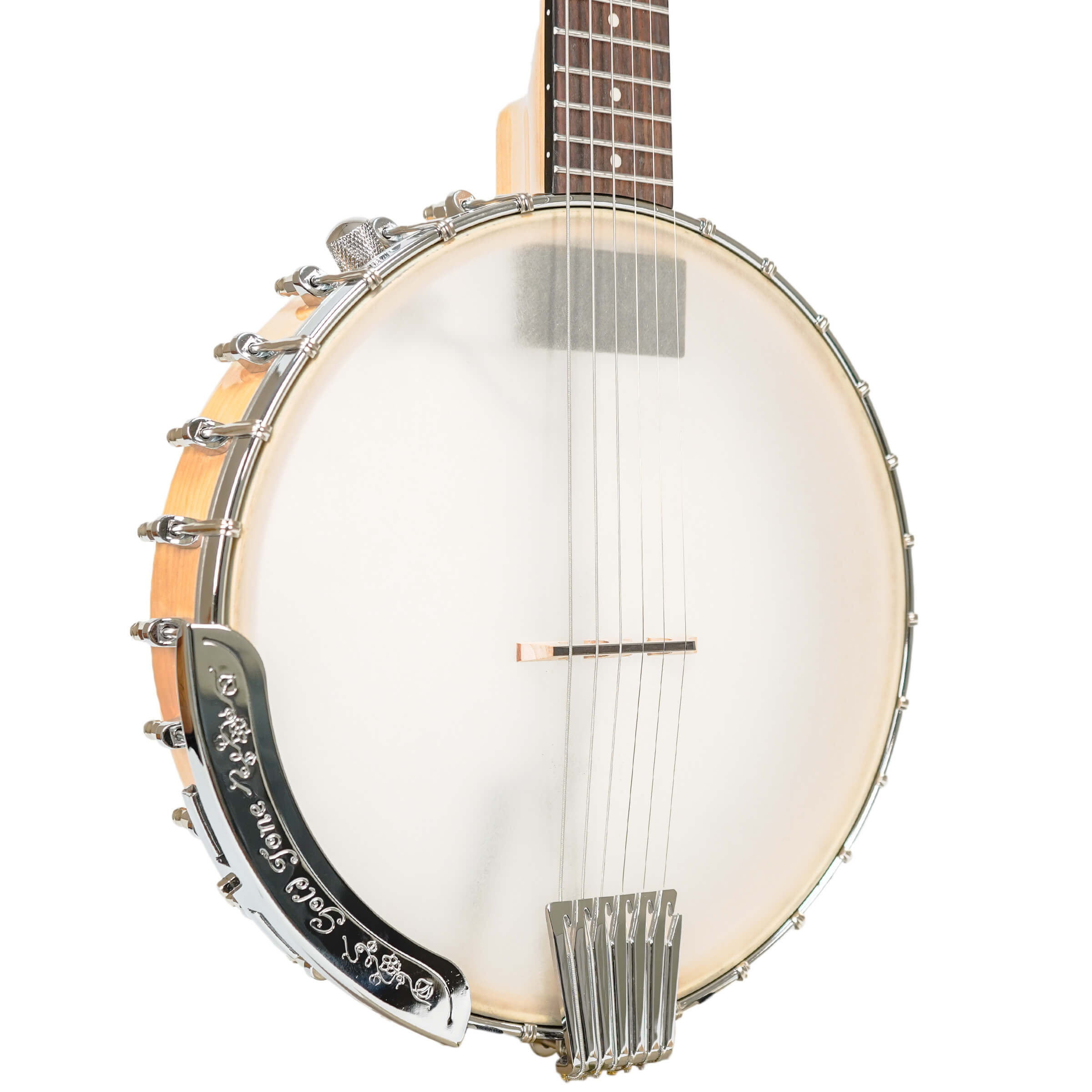 BT-1000: 6-String Banjitar with Pickup and Bag - Image 2