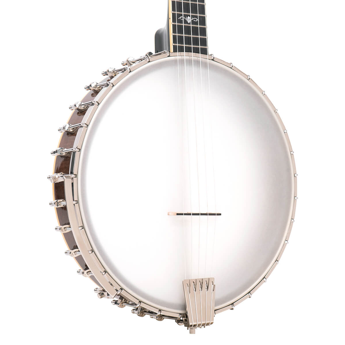 CEB-5: 5-String Cello Banjo with Case - Image 2