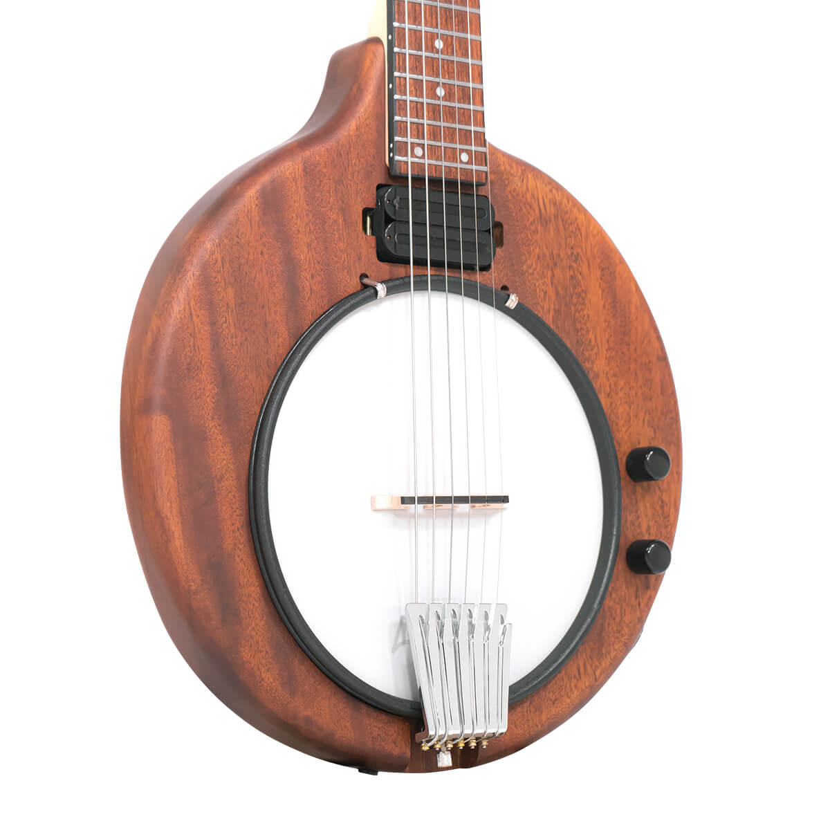 EB-6: Electric Banjitar with Gig Bag - Image 2