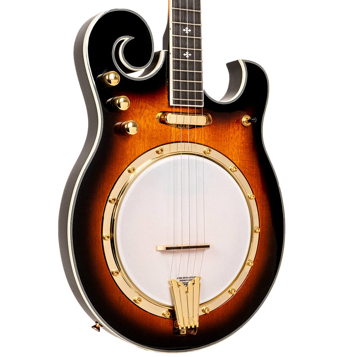 EBM-5: Electric Banjo with Case - Image 2