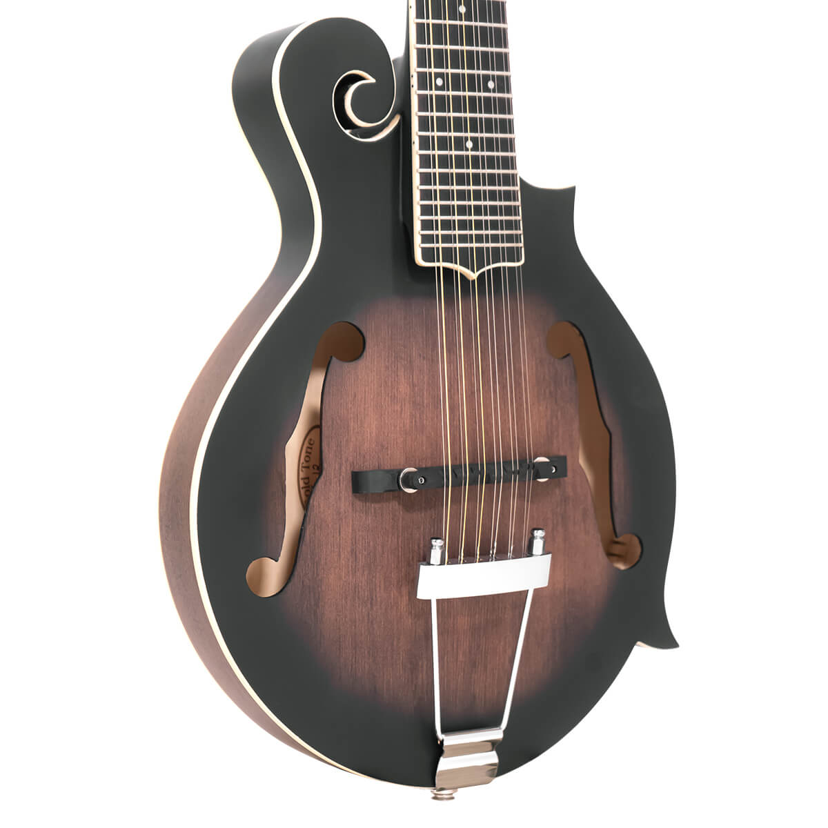 F-12: 12-string F-style Mando-Guitar with Pickup and Case - Image 2
