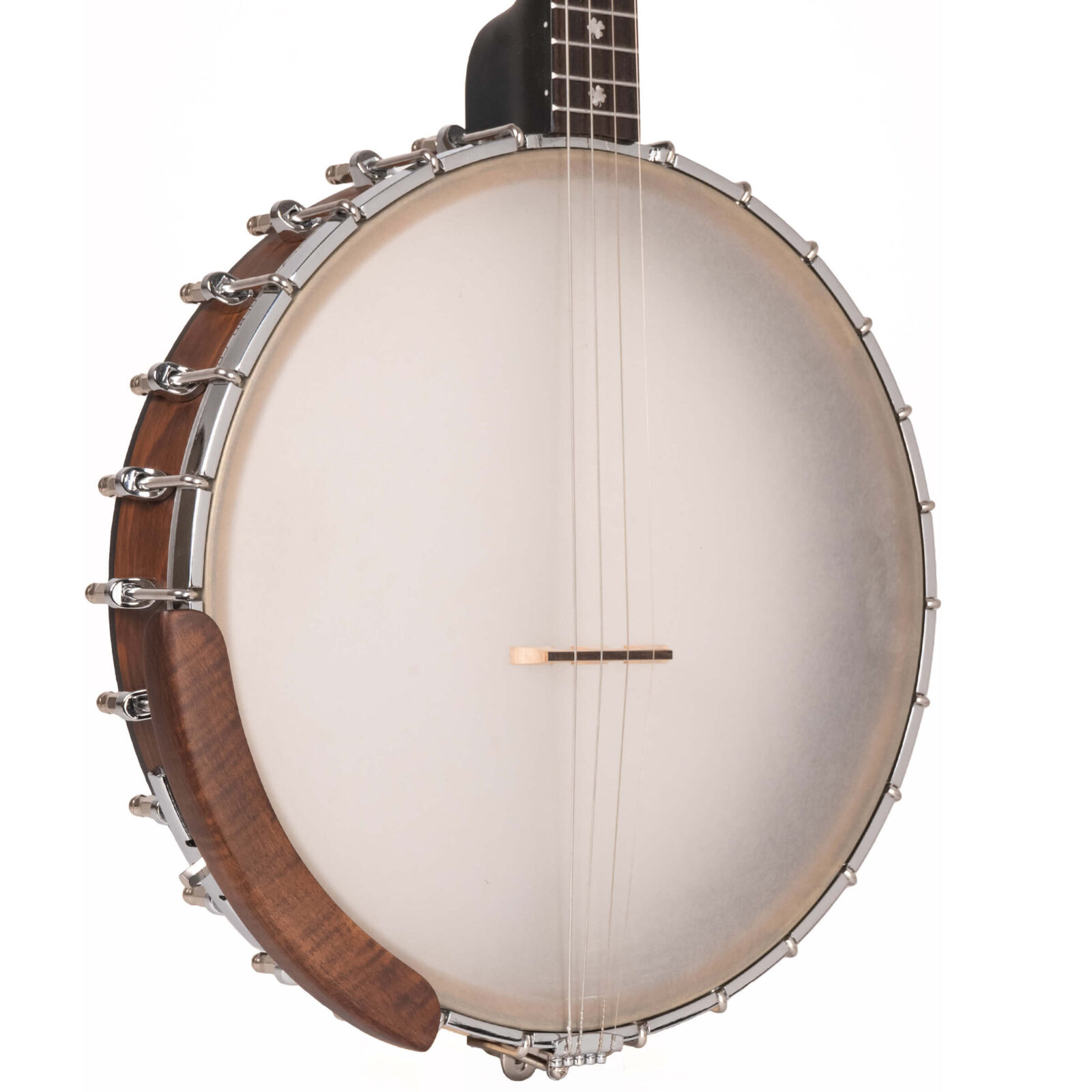 IT-17: Irish Tenor Banjo with 17 Frets and Gig Bag - Image 2
