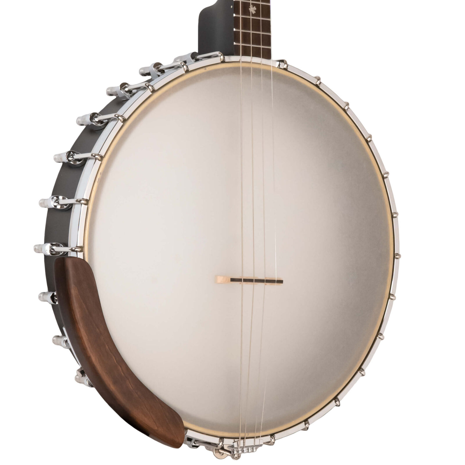 IT-19: Irish Tenor Banjo with 19 Frets and Gig Bag - Image 2