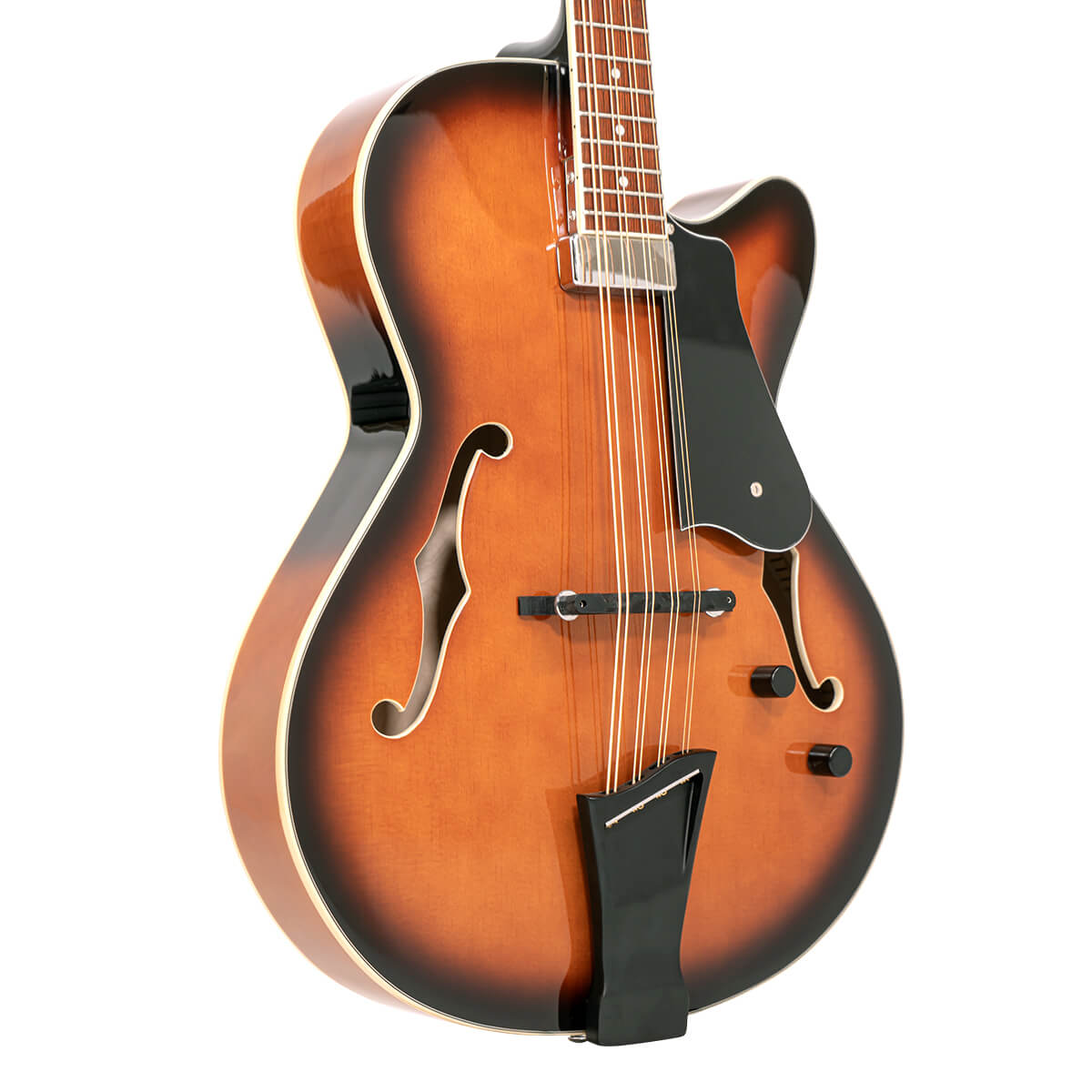 Mandocello/L: Lefty Mandocello with Pickup and Case - Image 2
