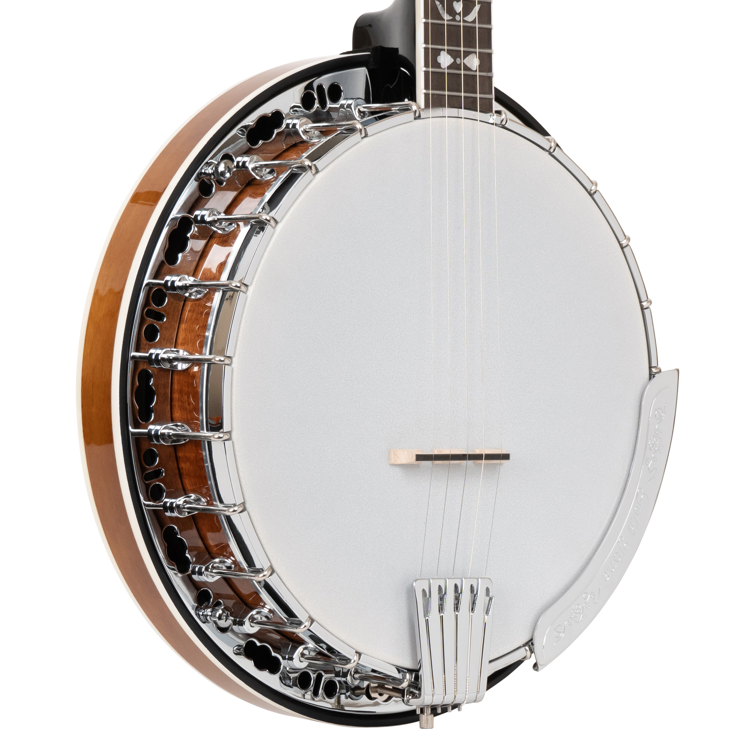BG-150F/L: Lefty Bluegrass Banjo with Flange and Bag - Image 2