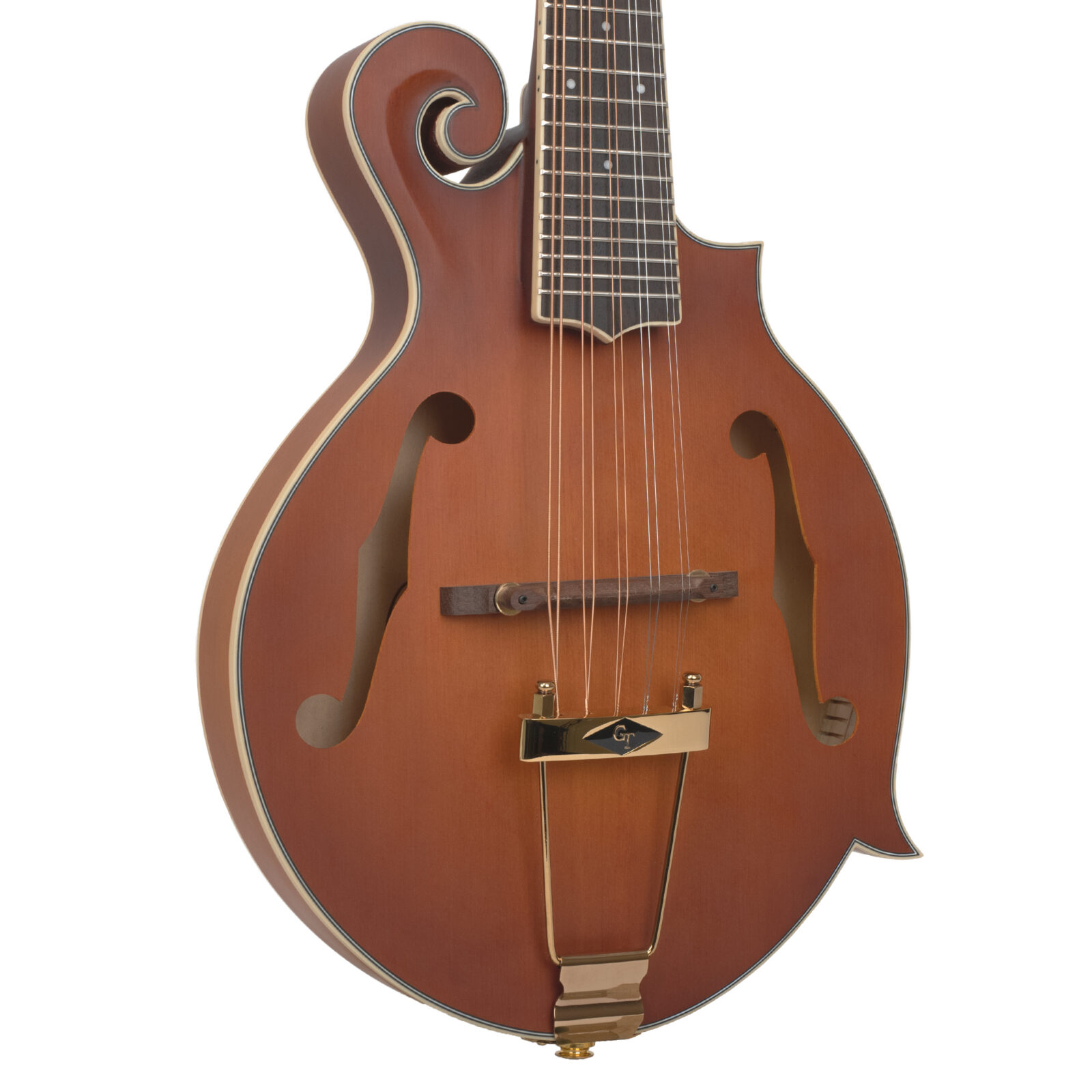 F-10: 10-String F-Style Mandolin with Pickup and Case - Image 2