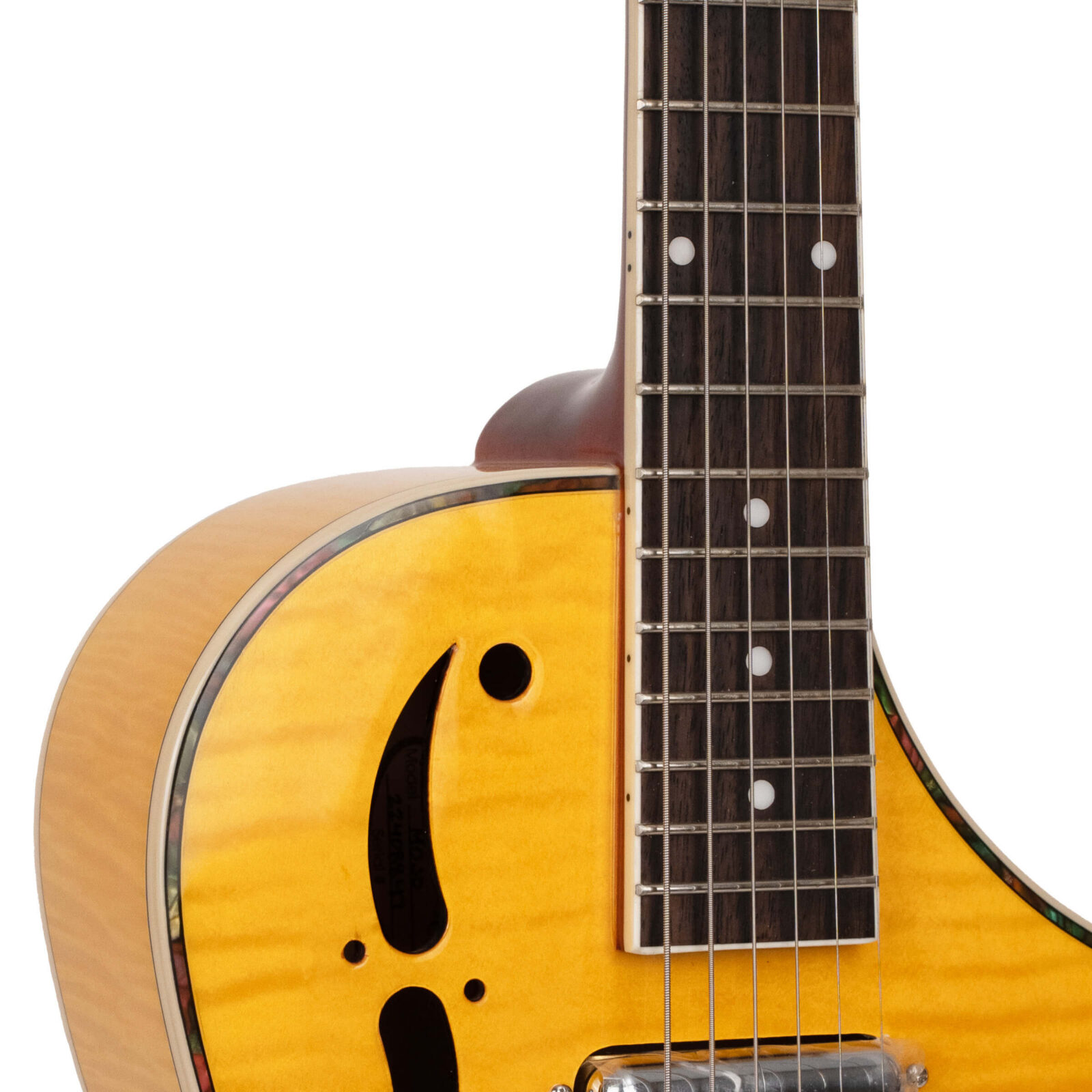 Mojo: Round-neck Resonator Guitar with Pickup and Case - Image 2