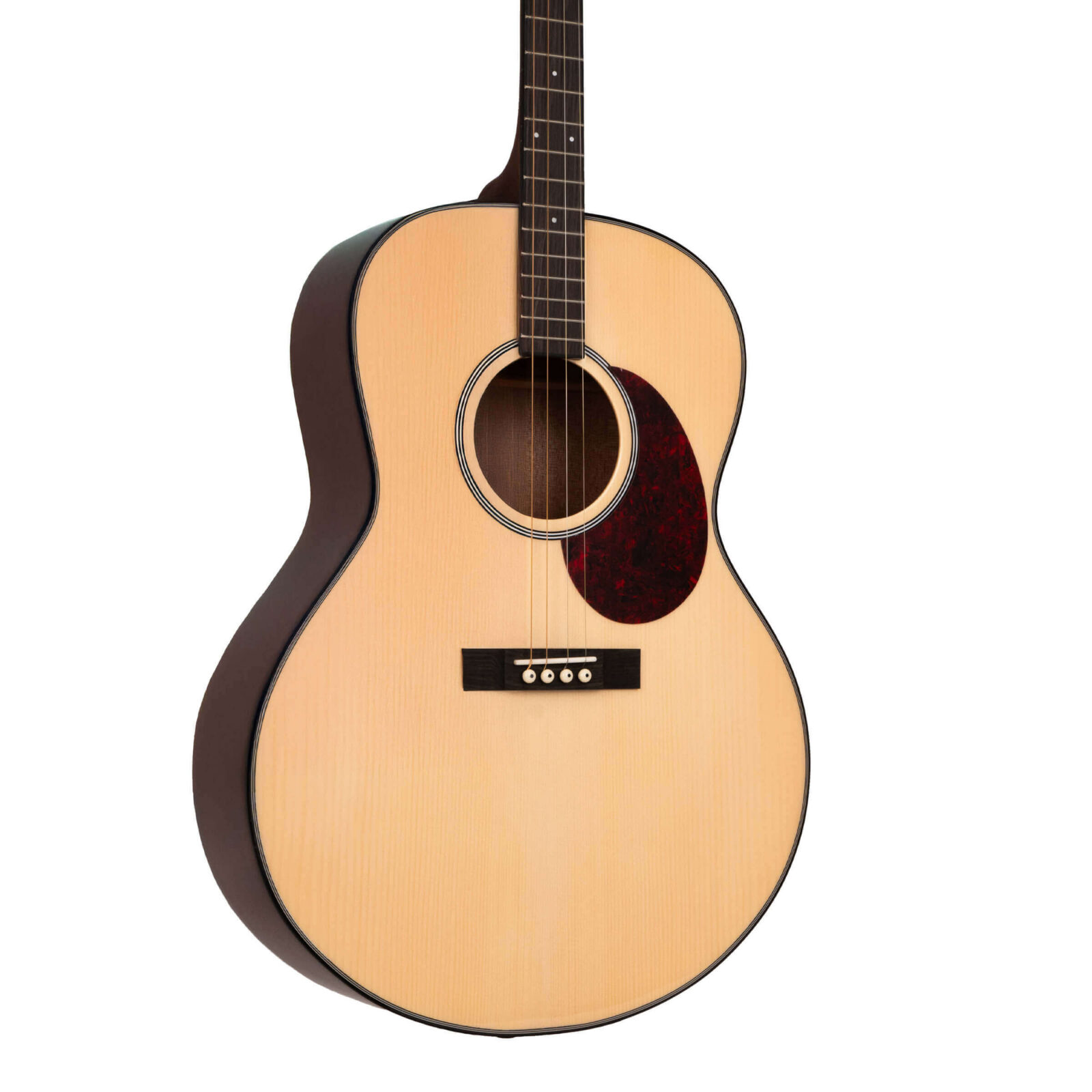 TG-10: Tenor Guitar with Gig Bag - Image 2