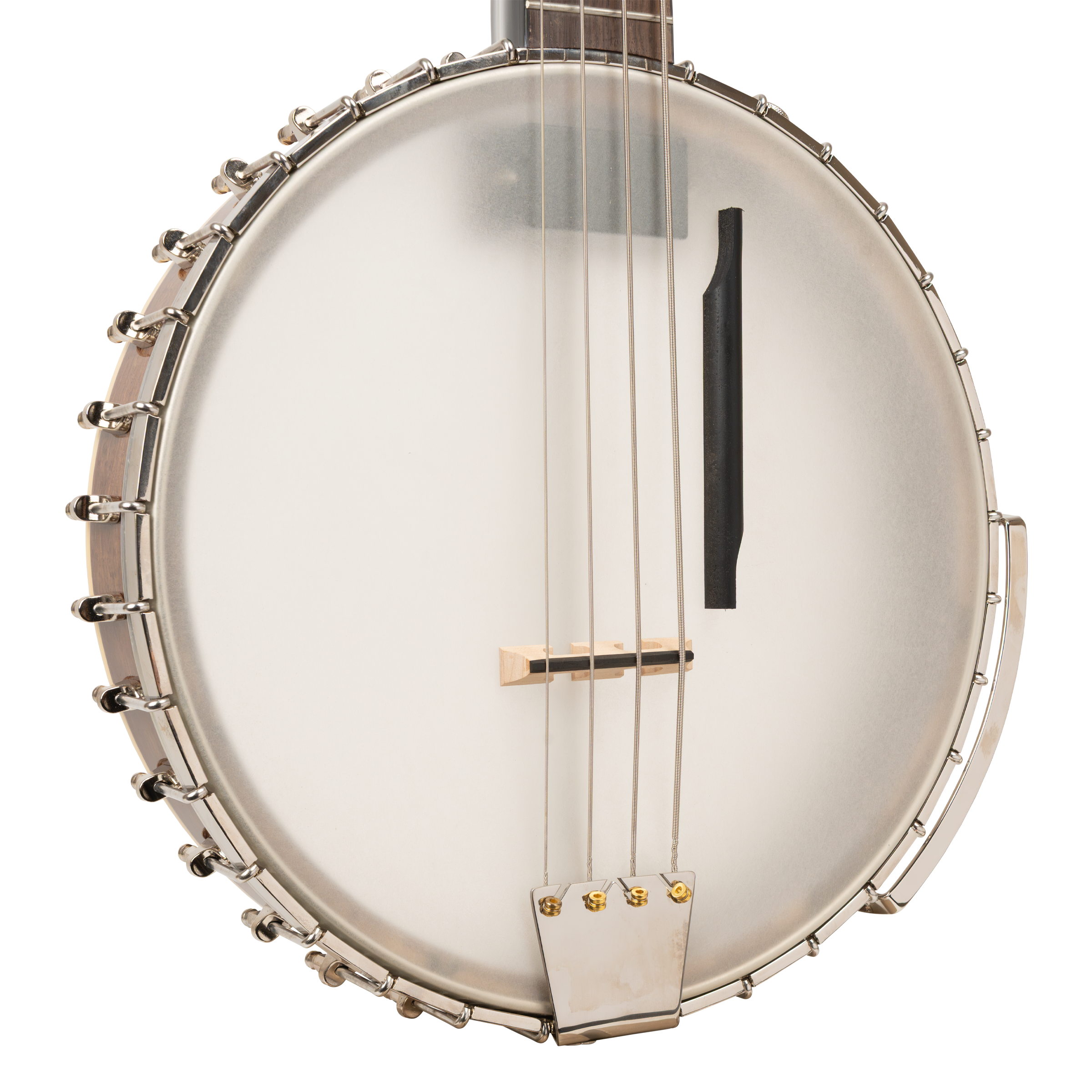 BB-400+/L: Lefty Banjo Bass with Pickup and Case - Image 2