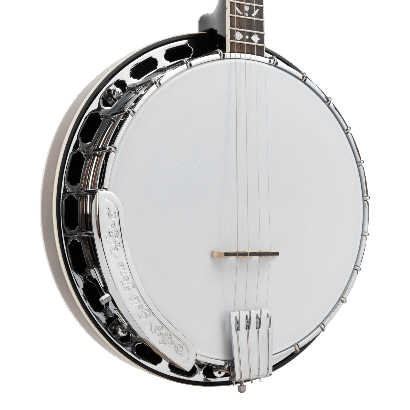 TS-250: Tenor Special Banjo with Case - Image 2