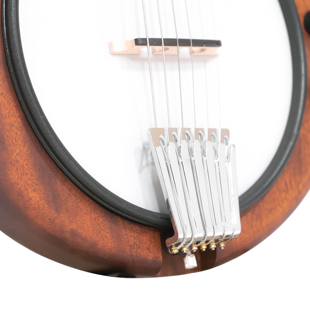 EB-6: Electric Banjitar with Gig Bag - Image 3