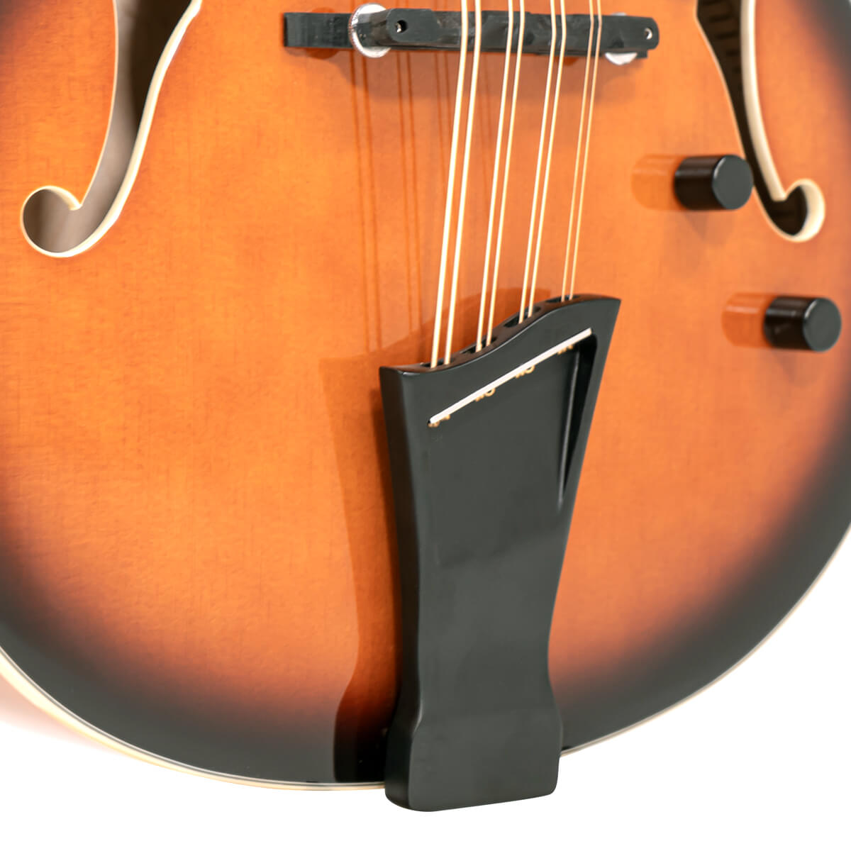 Mandocello/L: Lefty Mandocello with Pickup and Case - Image 3