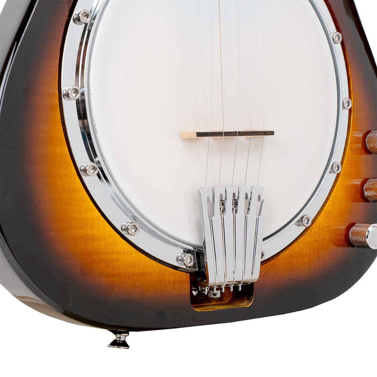EBT: Electric 5-String Banjo with Case - Image 3