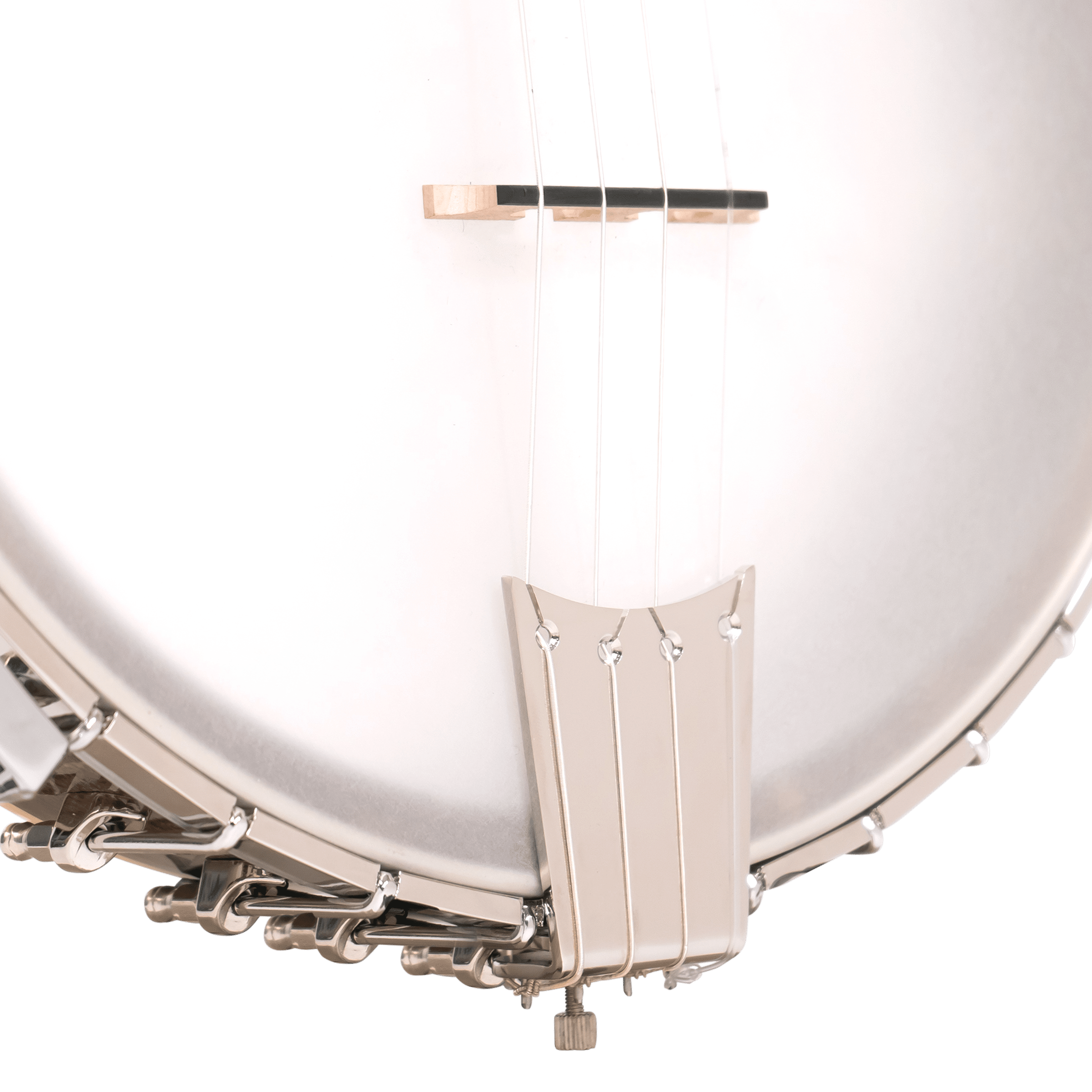 CEB-4/L: Lefty Marcy Marxer Signature-Series Cello Banjo with Case - Image 3