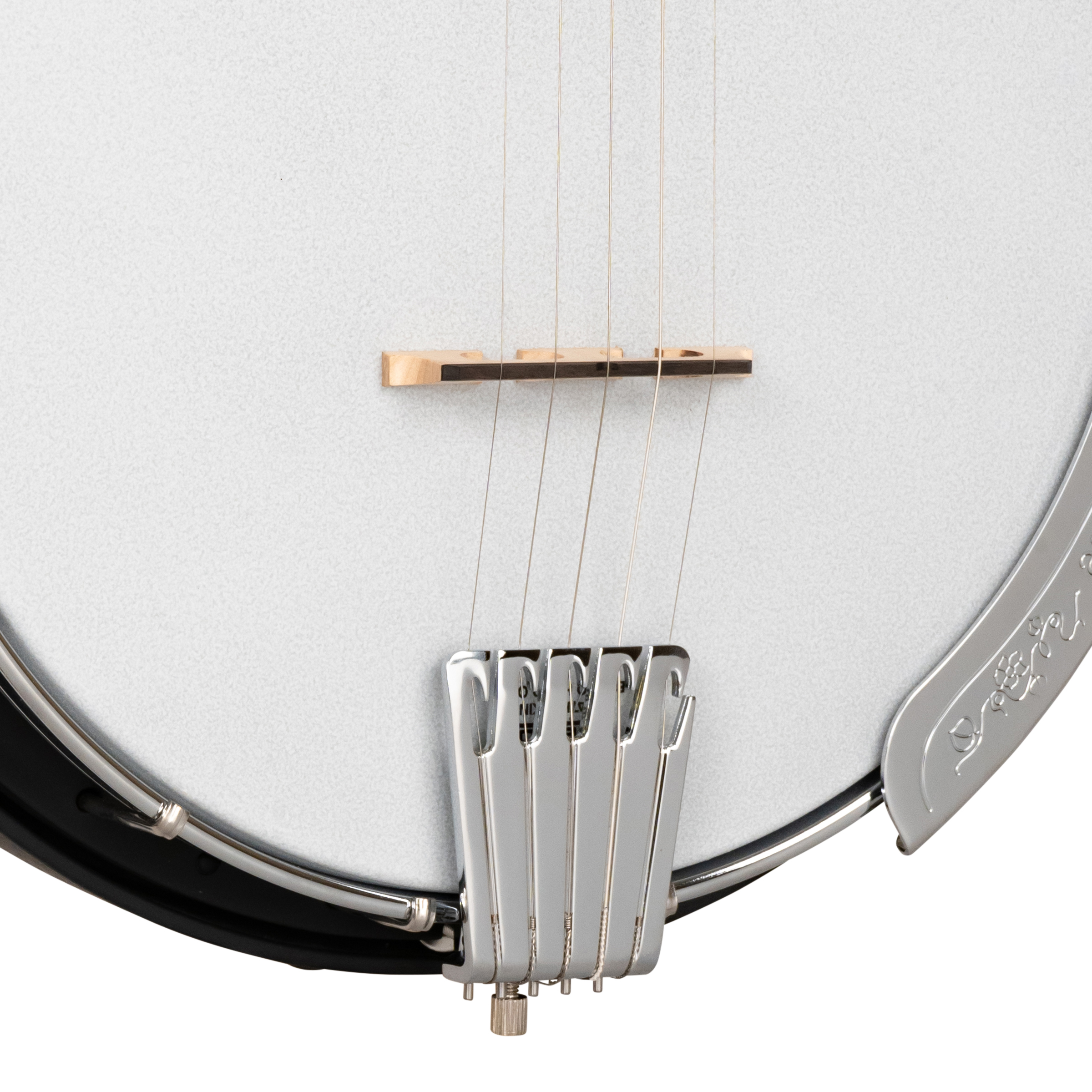 AC-5/L: Acoustic Composite 5-String Lefty Banjo with Gig Bag - Image 3