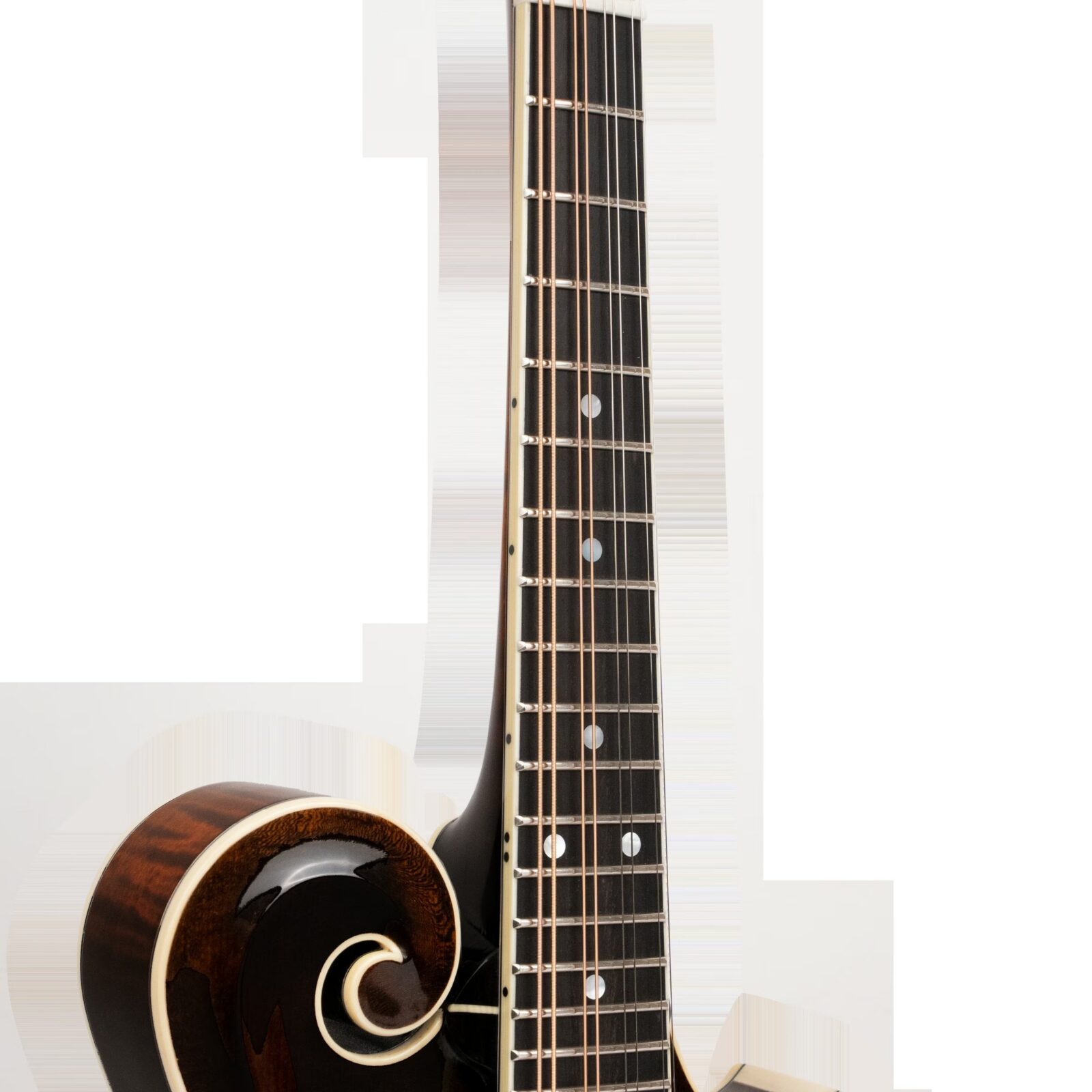 Grandmaster Mandolin Elite (Burst) - Image 4