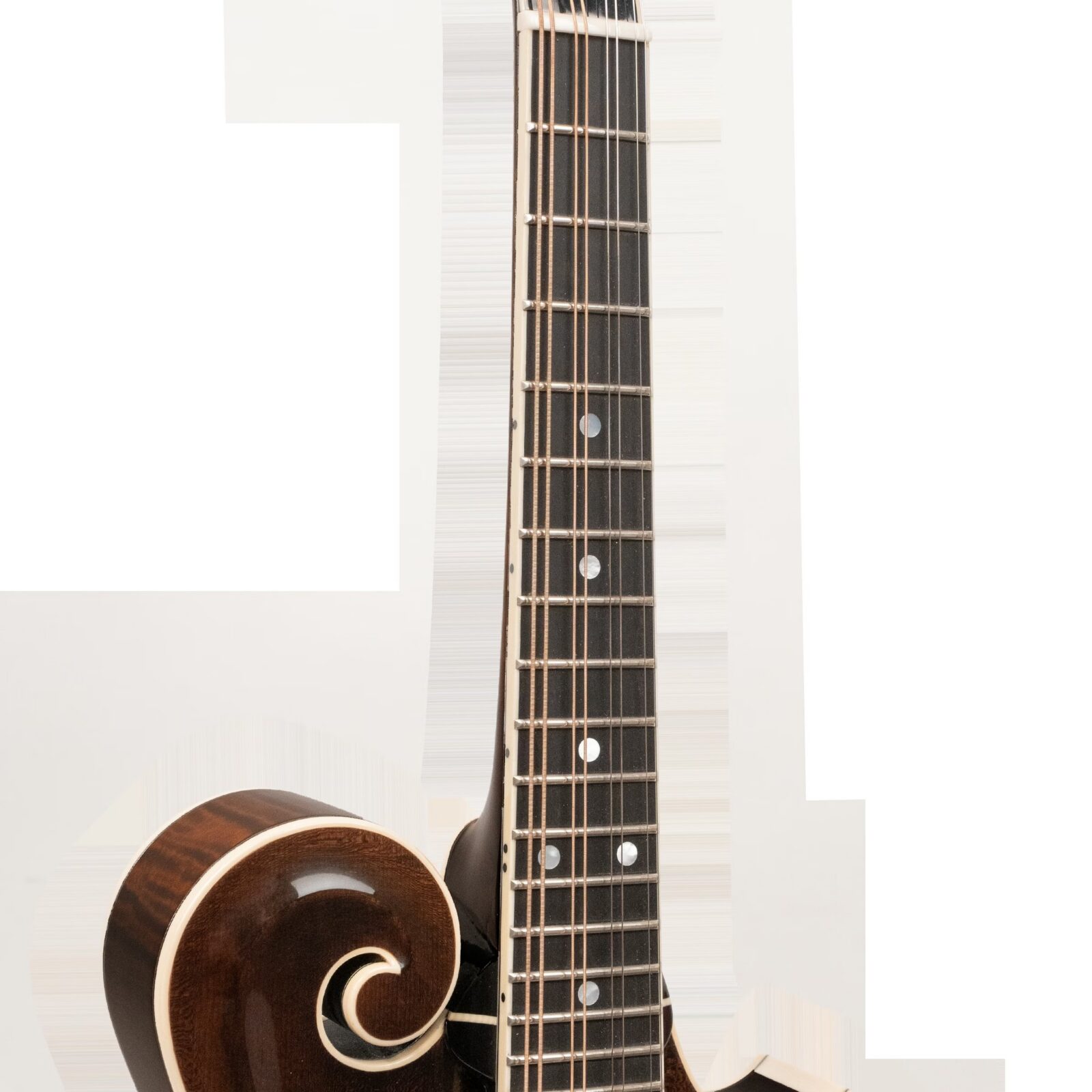 Grandmaster Mandolin Elite (Vintage Leather) - Image 4
