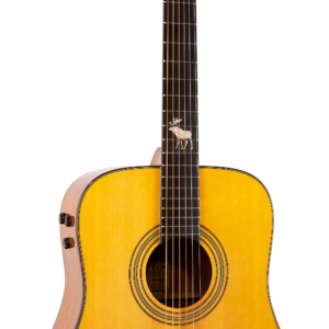 Teton STS200ENT "Spruce Moose" Dreadnought Guitar - Solid Top - All Mahogany