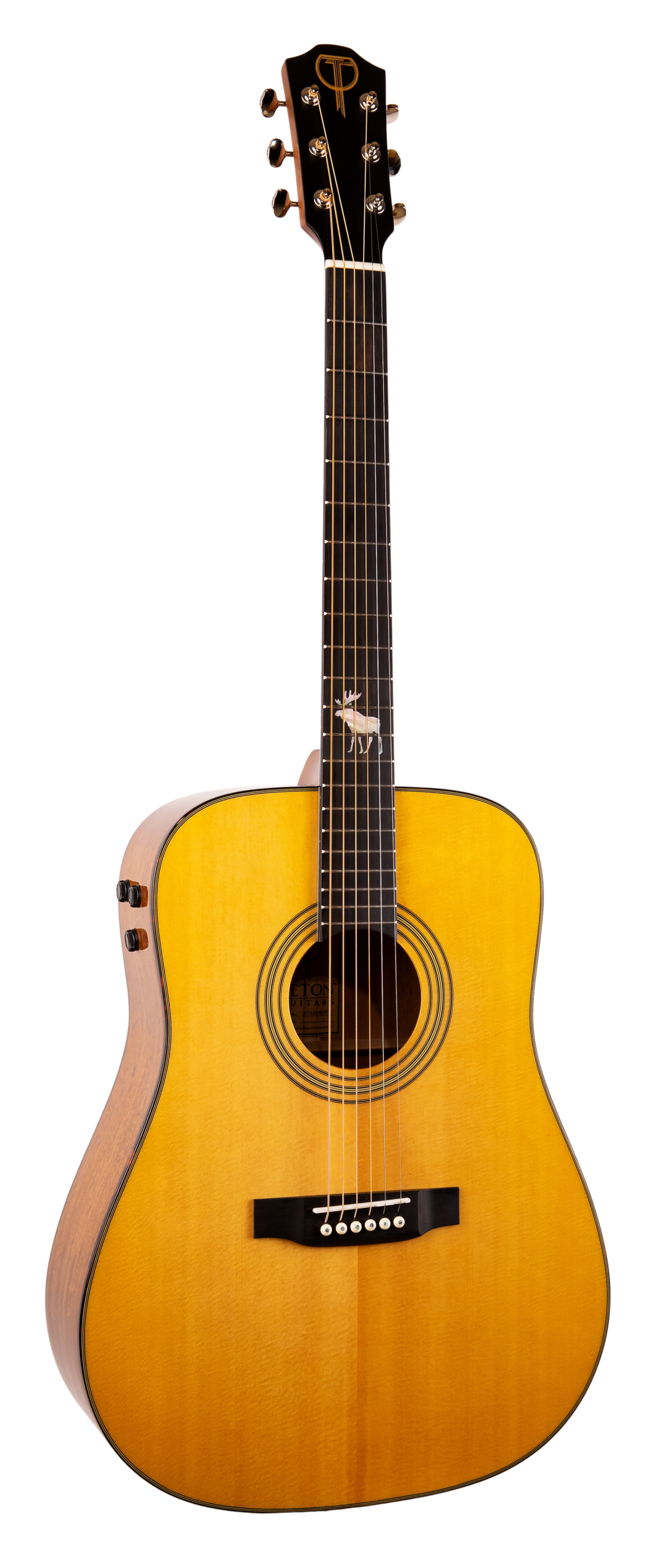 Teton STS200ENT "Spruce Moose" Dreadnought Guitar - Solid Top - All Mahogany