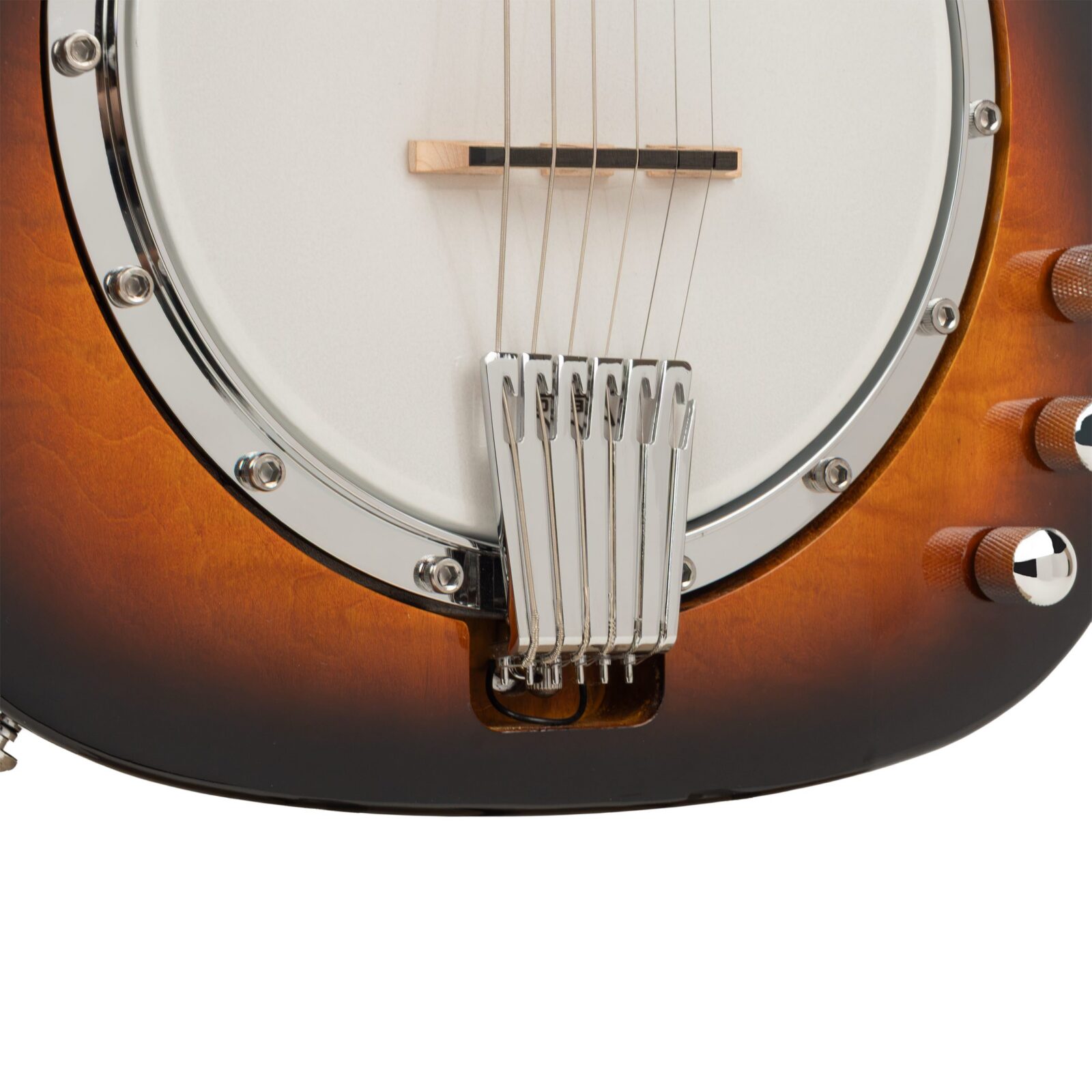 ES-Banjitar: Electric Banjitar with Hard Case - Image 3