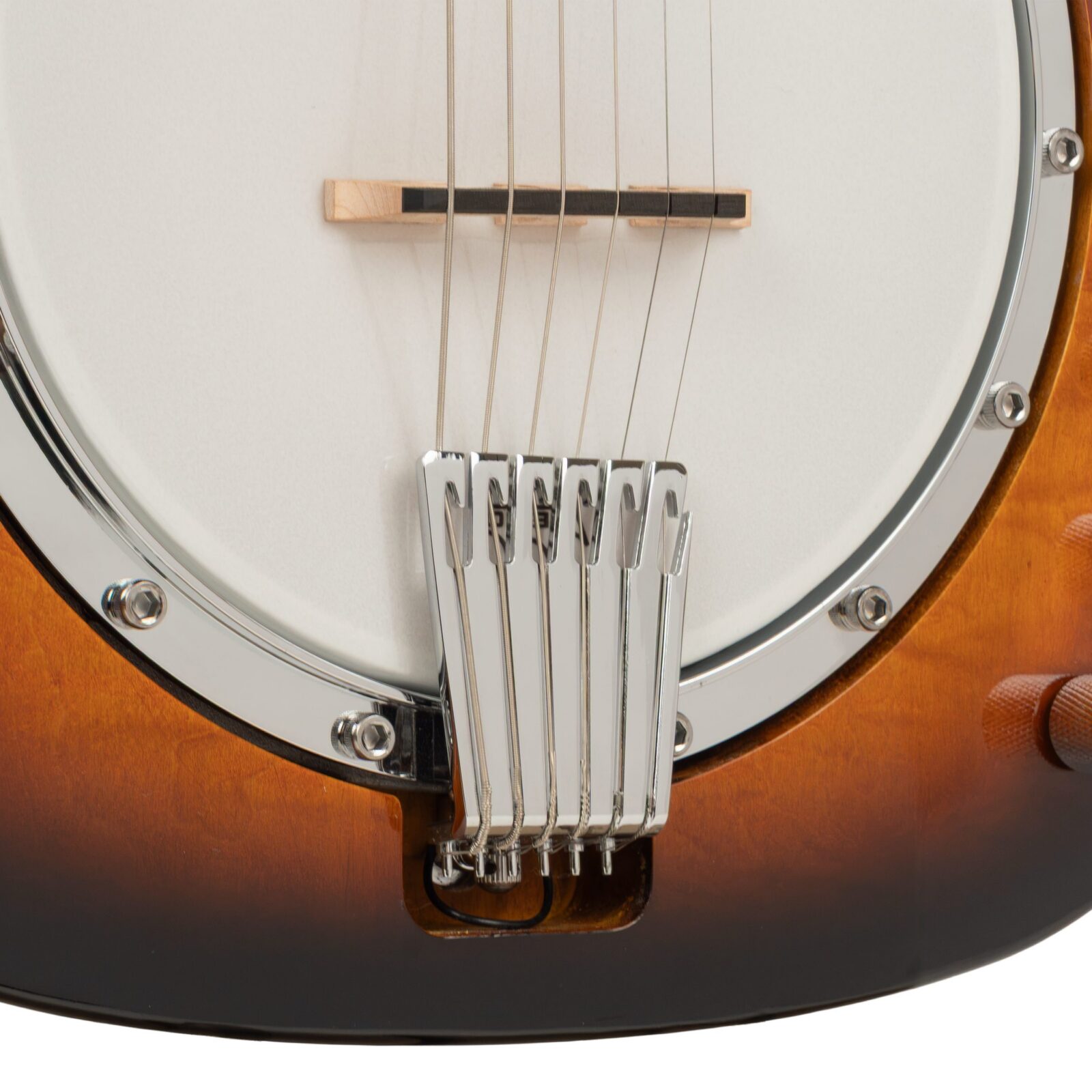ES-Banjitar: Electric Banjitar with Hard Case - Image 4