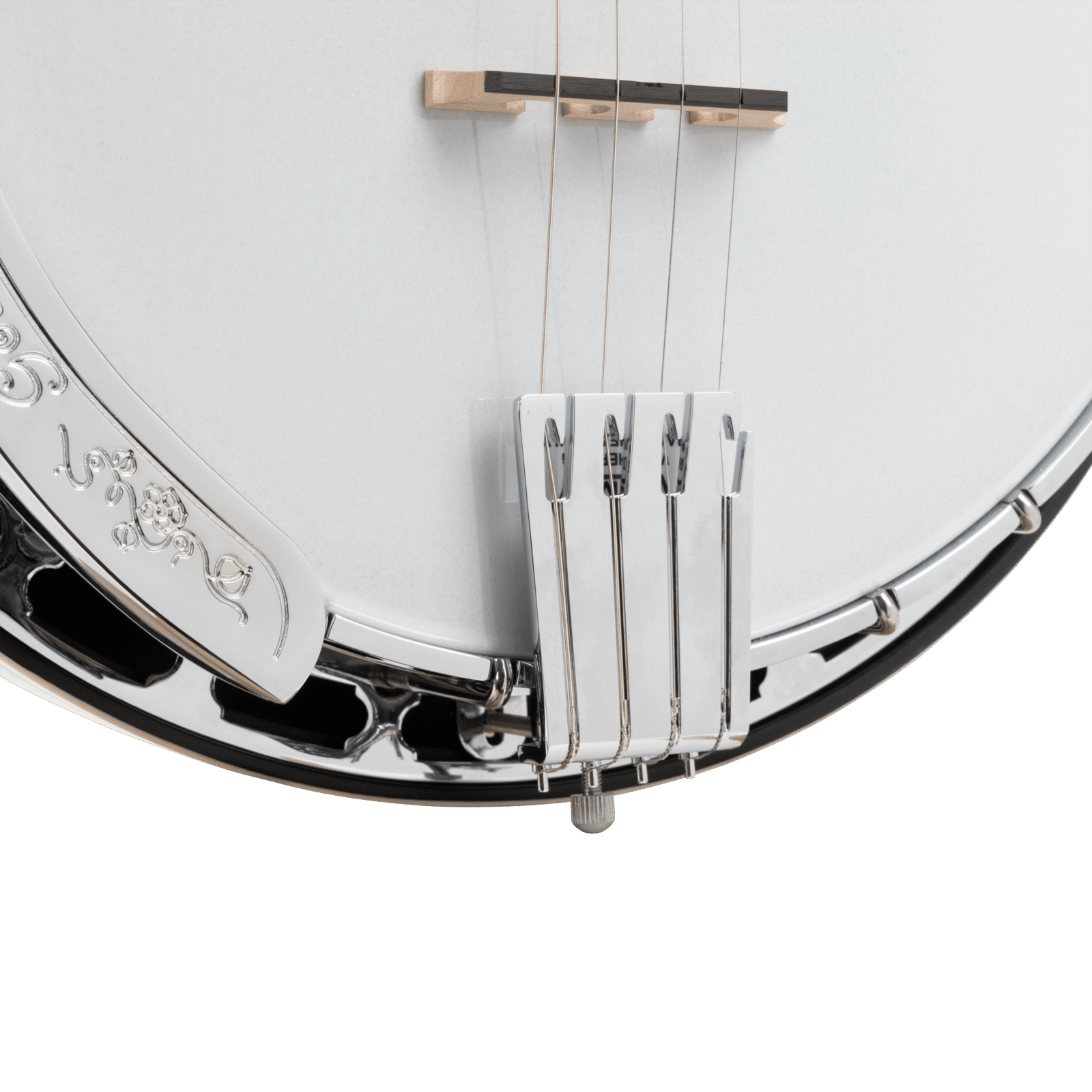 TS-250: Tenor Special Banjo with Case - Image 3